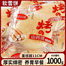 ɽҩ��ѩ����ʽѩ��������ʹ����������������H502��