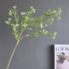 ����؛ֵ���u17�^��z���۲˹����ӹ����W�ҾӘӰ��g��c�����ٻ�