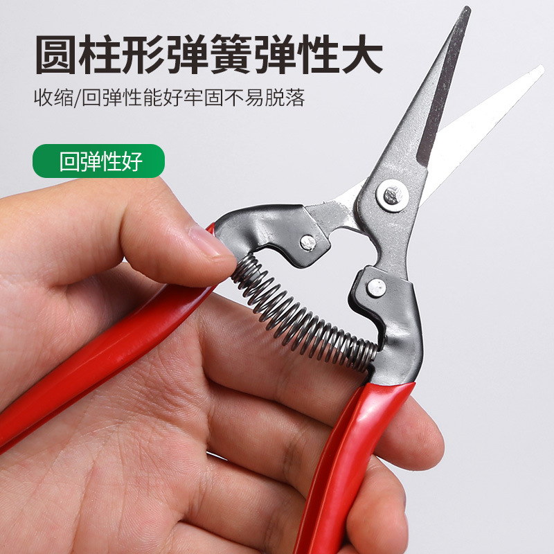 Winda tijeras de recolección de frutas de acero inoxidable cosecha de uvas tijeras de frutas raras tijeras de naranja níspero tijeras de poda de jardinería al por mayor