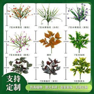 ���汱�W�҃ȾGֲ��ֲ֦���������ľ�ȼ����B�C����Ȼ�L