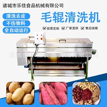 红薯毛辊清洗去皮机不锈钢材质红薯芋头洗泥去皮机器木薯脱皮机