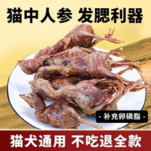 è����ʳС���ж�����èͨ�ó���è��è����ʳ����С����
