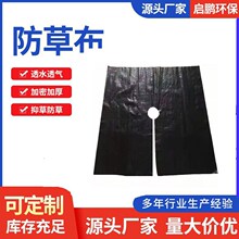 �Ӻ��ϻ��ڲݲ����ݲ����݈@ˇ�ز�pp������ݲ����S�����l����