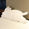 MyQ-lying posture white cat
