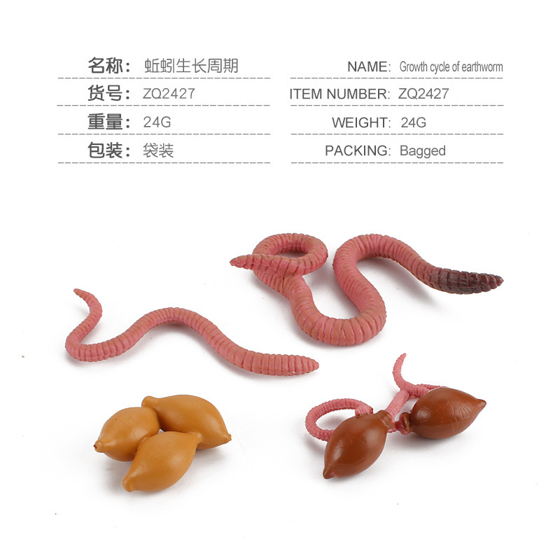 Simulación de exportación transfronteriza de insectos modelo de ciclo de crecimiento animal mariposa abeja Caracol Rana escorpión adornos cognitivos
