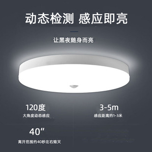 Amazon hot selling LED ultra-thin ceiling light square round borderless simple bright surface mounted panel light 36W
