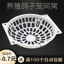 鸽子窝网窝鸽子养殖用品用具信鸽用品蛋窝鸽子孵蛋窝肉鸽种鸽鸽窝