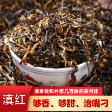 中国滇红茶云南茶叶古树红茶春茶花果蜜香原产地直发高性价比批发
