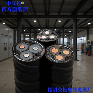 26/35KV10KVZRC-YJV22YJLV22YJLHV22�X�Ͻ�߉���|����X������