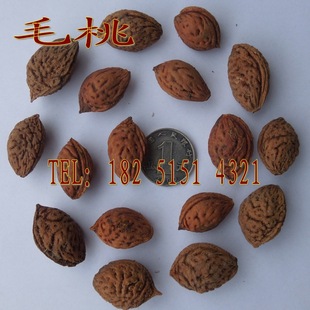 �����²Ƀ��|��ë�ҷN�� ë�Ҙ�N�� ë�Һ˷N�� �Ҙ�N��
