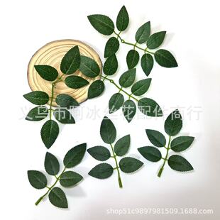 ����õ���~�zӡDIY���Ͻ����^��h�ٗl����z�W���~Ƭ���l