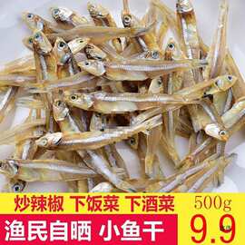 海鲜干货公干鱼小鱼干海燕鱼白饭鱼白帆鱼银鱼丁香鱼咸鱼干水产