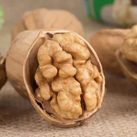 其他果干蜜饯;传统糕点;红枣干