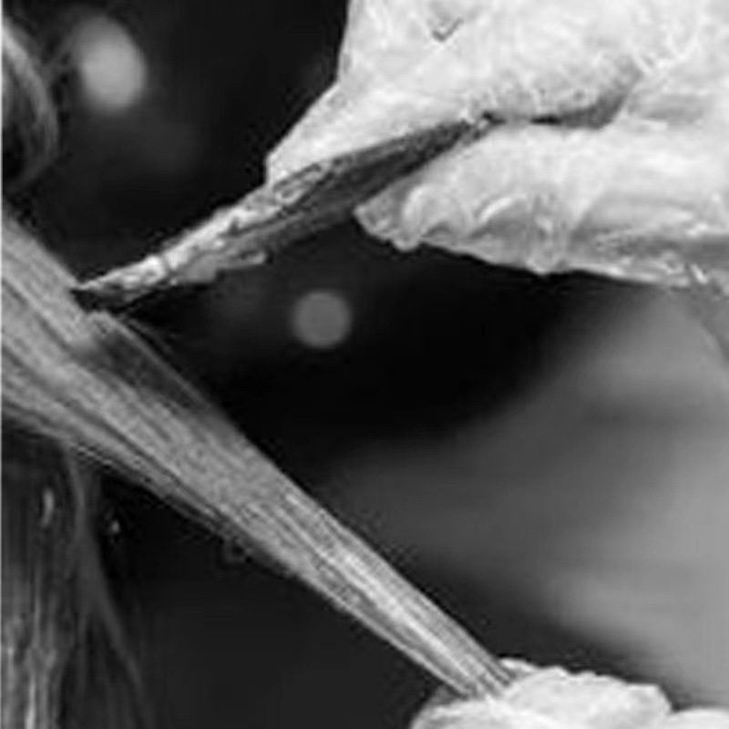 Herramientas de peluquería cepillo de teñido de cabello cepillo de aceite de 4 piezas conjunto de cepillo de teñido de cabello peine de teñido de cabello conjunto de tazón de teñido de cabello