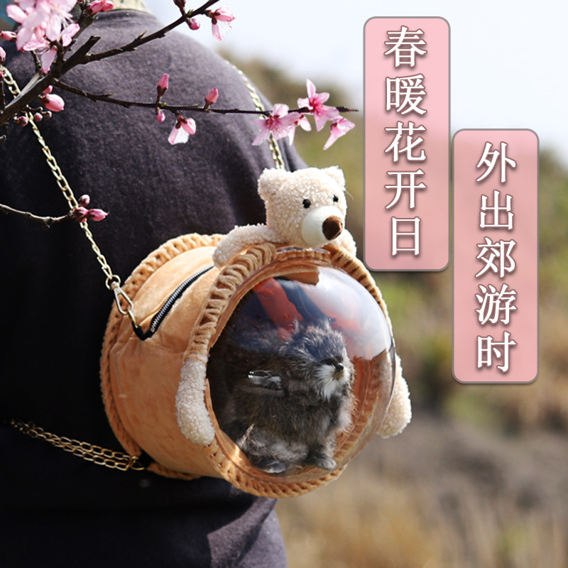 鹦鹉外带包蜜袋鼯松鼠外出包侏儒兔子豚荷兰猪刺猬旅行包龙猫仓鼠