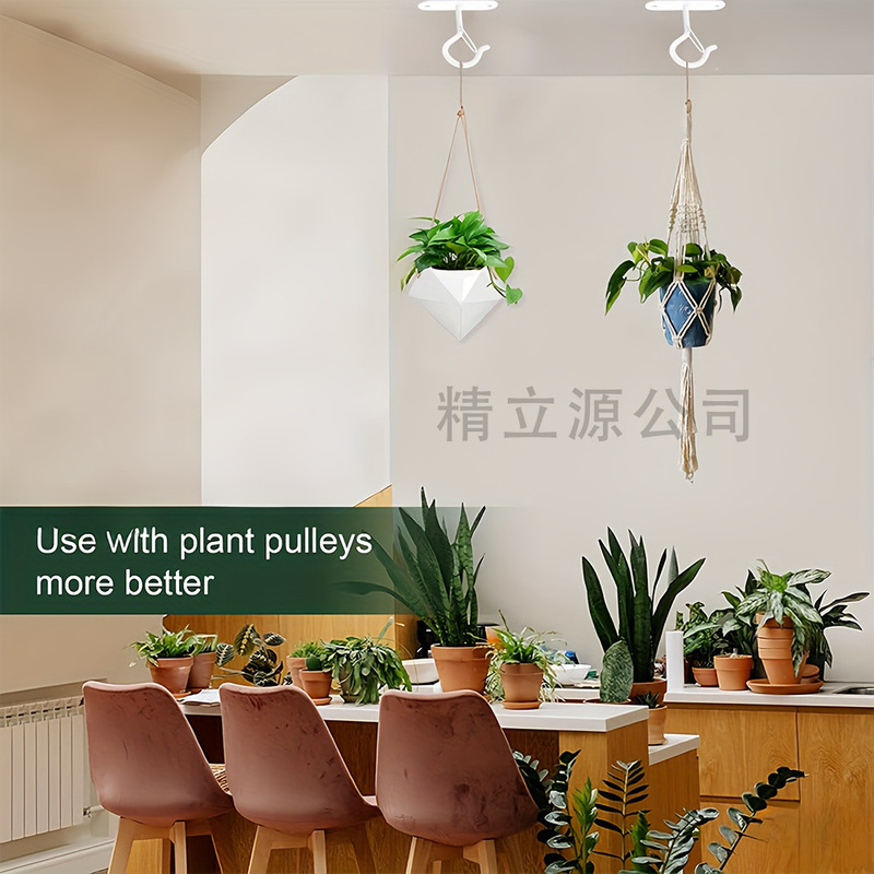 天井の植物のフックを掛けて、鉄の壁はフックの提灯、鳥の食器の家庭のフックを取り付けます。|undefined