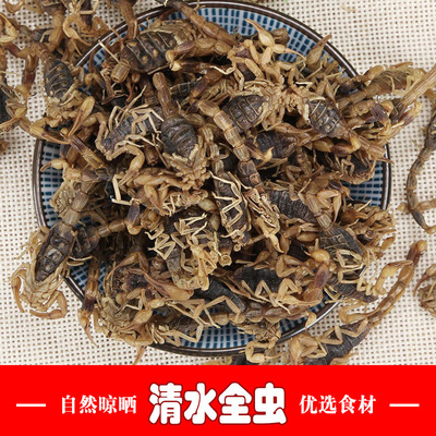 All insects Scorpion wholesale Chinese herbal medicines Manufactor Chinese herbal medicines All insects goods in stock wholesale Shimizu Scorpion