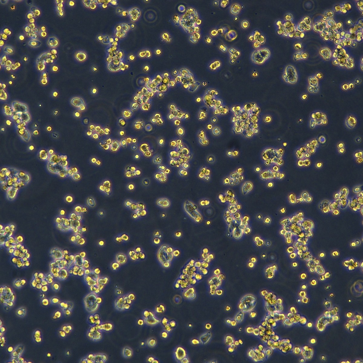 2025-11-04 14:42:15.jpg