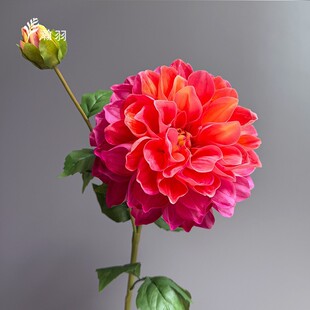 ������2�^�ָб�����������滨 ��c�[���ҾӘӰ巿ܛ�b��Ĕz��