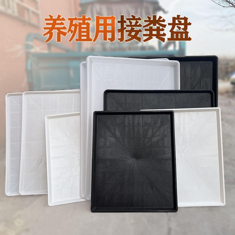 塑料托盘小鸡接粪板养殖场接粪板兔子鸭鸡接粪便盘鸡用加厚接粪盘