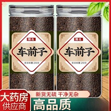 车前子材车前子粉车前子茶车前籽和土茯苓泡水