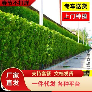 һ�����l�������編��ֱ���G�h��ͥԺ����ֲ���ļ�����G��������