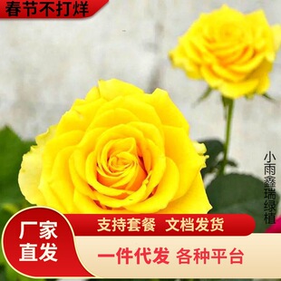 һ�����l���Sؐ�����¼������҃���ͥԺ�̨���Ի����^��ֲ���ļ�