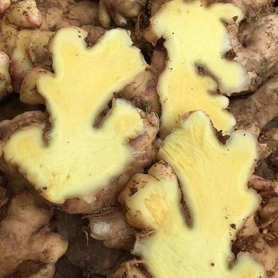 ���С�S��9��a��ֱ�l���r�����F�ڸ�ɽ�۽��Ͻ�