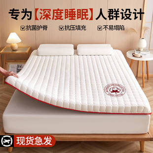 Mattress Cover for Home Bedroom Mat Mattress Student Dormitory Single Soft Cushion Tatami Rental Special Mattress