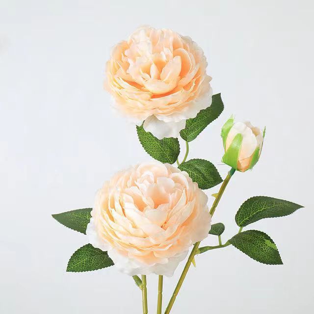 洋牡丹の造花は花の家庭の客間に花束を飾っています。|undefined