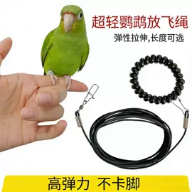 猫猫玩具;猫抓板;猫爬架