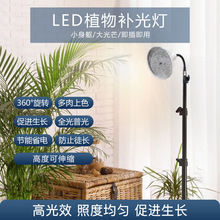 ����ȫ���V�߲˶����a�⻨��ˮ�Gֲ������ֲ�����L�a���ˮ��