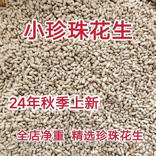 �˹����x24���»���5����؎���������r�������xС���鱡������