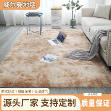 跨境丝毛地毯客厅长毛地毯家用满铺防滑地垫耐脏易打理床边毯批发