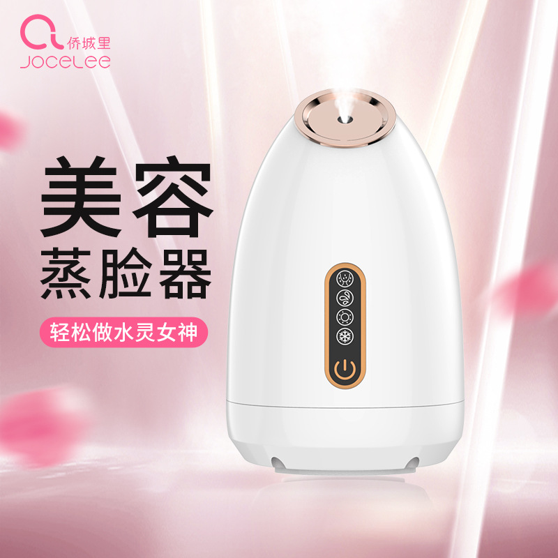 Home Small Cold and Hot Mist Humidifier Face Cleansing Device, Open Pores Hydrating Beauty Instrument