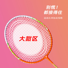 厂家直销羽毛球拍2支套装成人初学者羽毛拍体育用品跨境生产批发