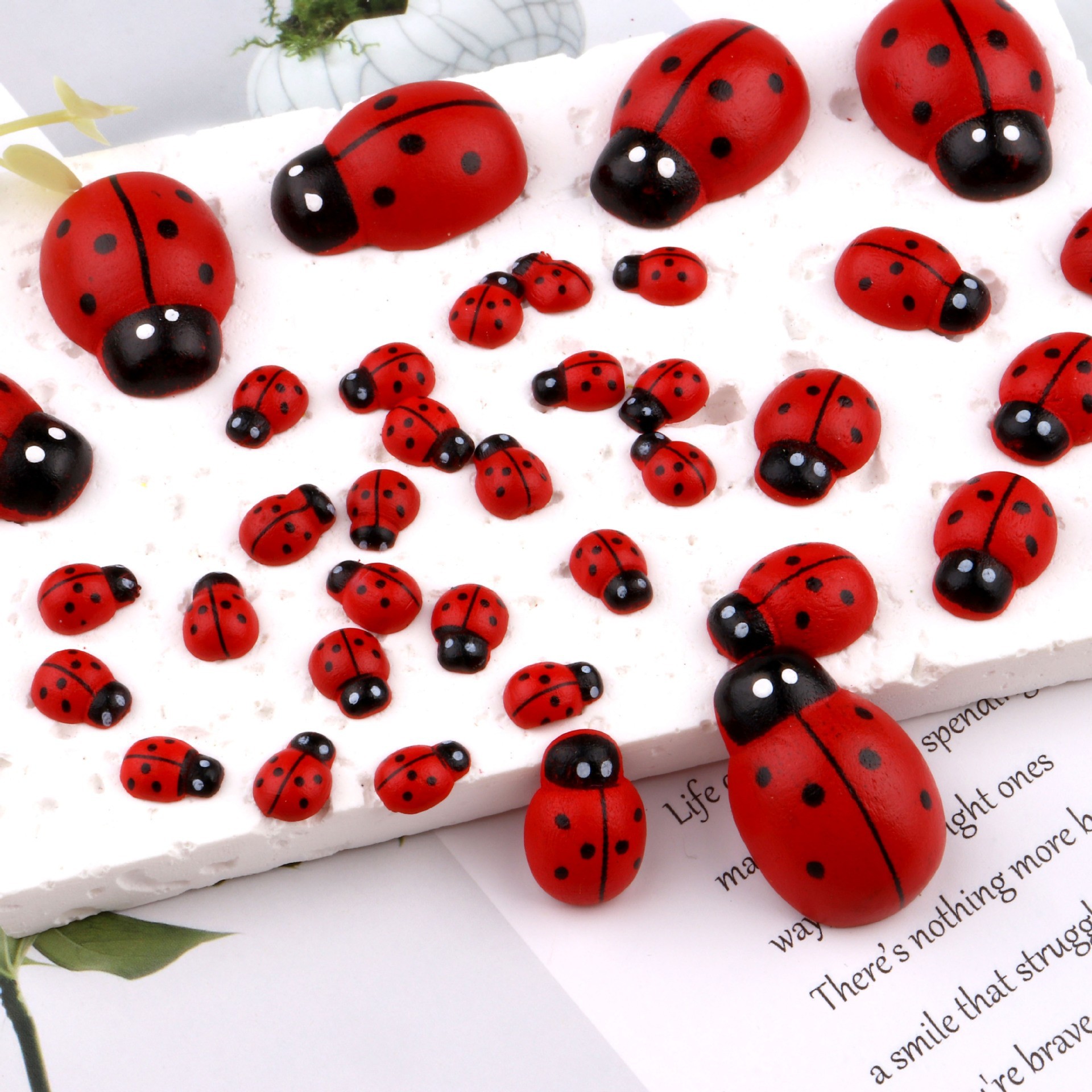 O1CN01p7DSWG2LaJsgrzJIH_!!2559