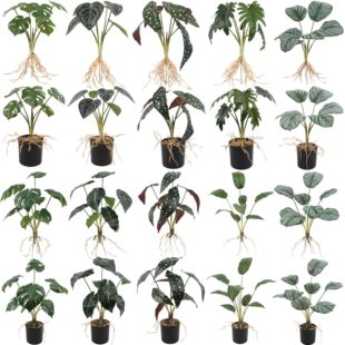 Artificial plant bonsai wedding Home Hotel indoor green plant decoration artificial pot props layout decoration wholesale