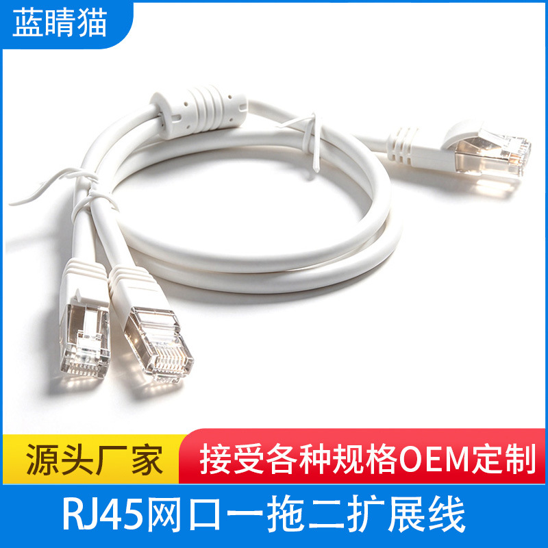 RJ45 一分二网线 CAT5E CAT6 兼容带固定耳母座网口一拖二扩展线