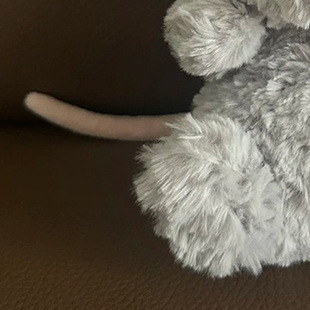 ͬ����ζС��ɐ�ë�q���ṫ������С����ż�[���Y�������у�ͯ