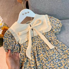 2024 Summer New Arrival Girls' Korean-style Chic Lapel Floral Princess Dress | Kids' & Baby's Summer Short-Sleeve One-Piece Dress