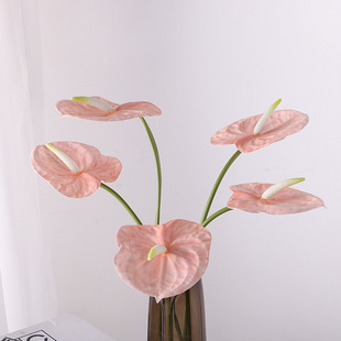 ���滨��֦���Q�t�ư��ƾG�Ʒ��ƿ͏d�Ƶ�[�����Ҿӷ������~�ٻ�