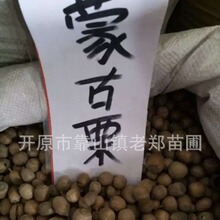 �N�I���l�ɹř��N������������Ә�N˨Ƥ������|����ľ�N�����l