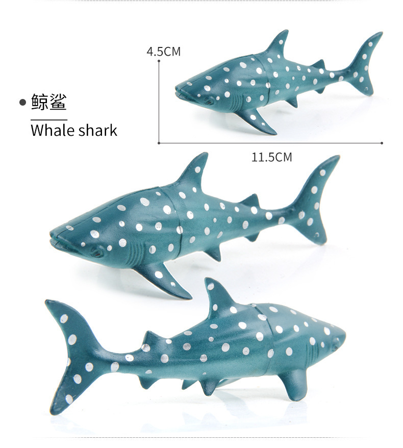 详情_08.jpg