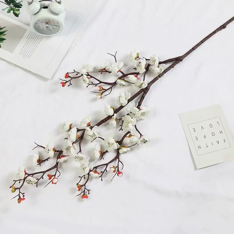 큰 세 갈래 매화 흰색