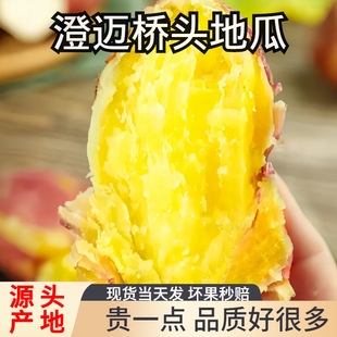 ���Ϙ��^�عϳ��~���ڸ���ɳ�ط�����Ŵ�������r�S�ĈA�������t��