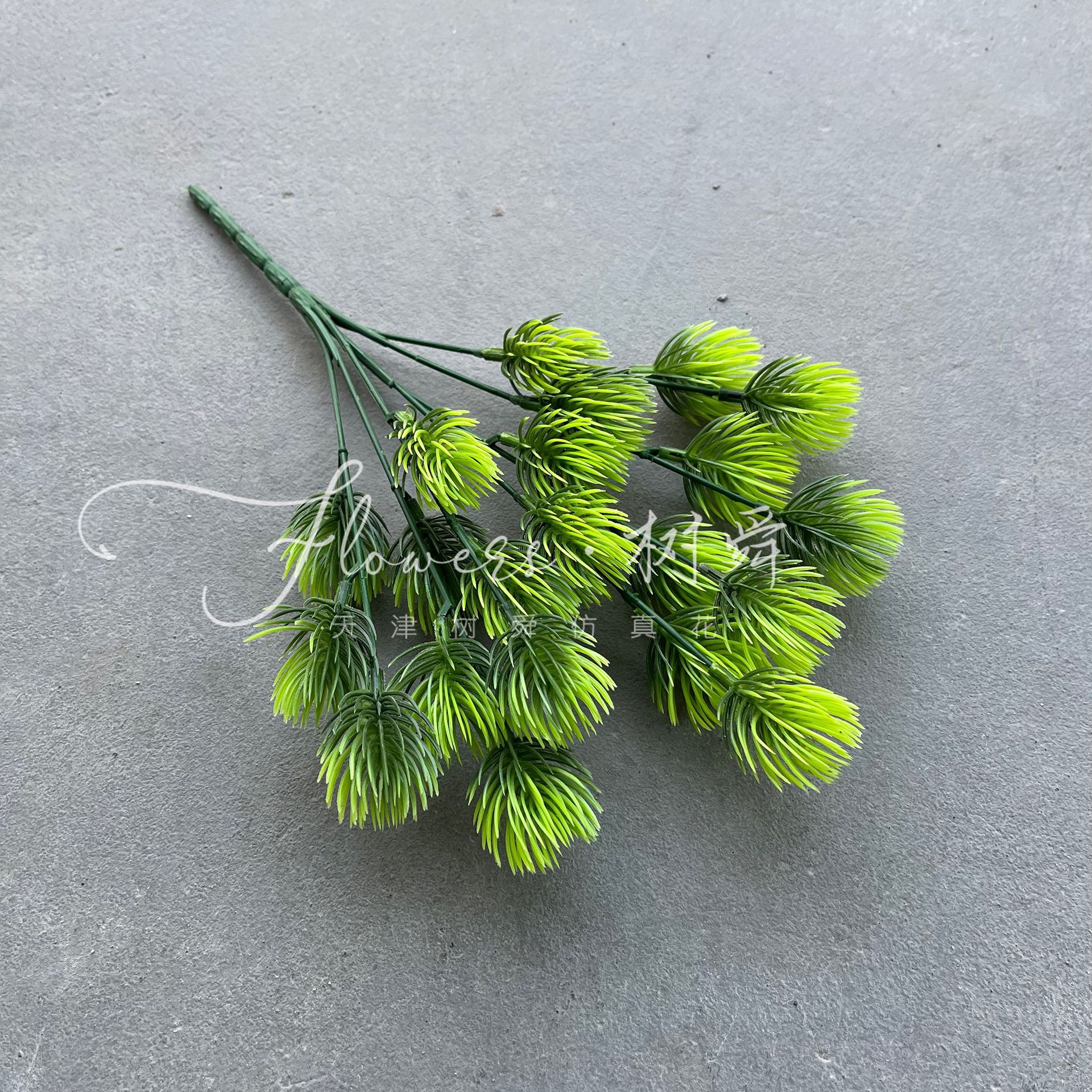 Pon el manojo de la fruta del amante (32cm)