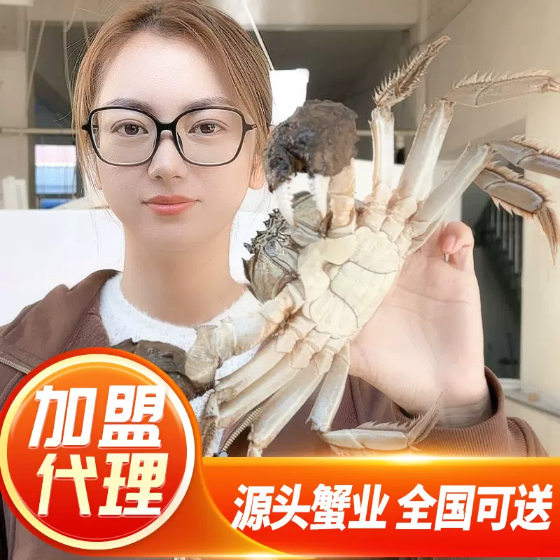 大闸蟹源头供应链招加盟代理 批发集采量大价优 自有基地稳定供货