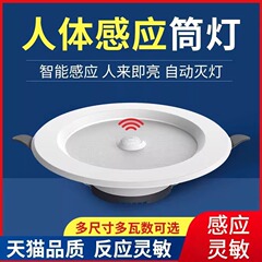 インテリジェント音響制御人体センサーランプ埋め込み式天井ランプ家庭用天井玄関通路廊下ledダウンライト