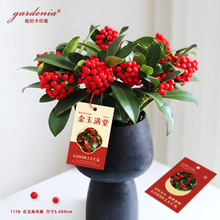 tBoƻ𼬹피t҃ԾGֲb